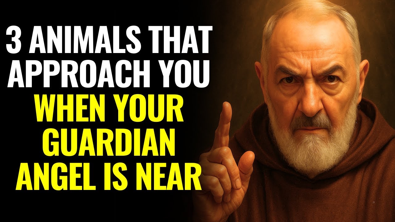 PADRE PIO REVEALS: 3 ANIMALS THAT APPROACH YOU WHEN YOUR GUARDIAN ANGEL IS NEAR