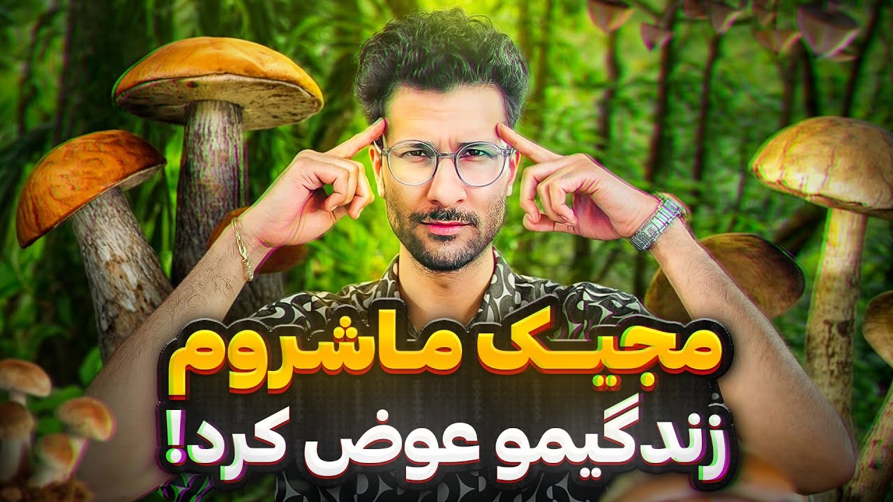 تجربه من از تریپ های متنوع مجیک ماشروم ❌ از تجربه سایکوز تا غوطه ور در عشق