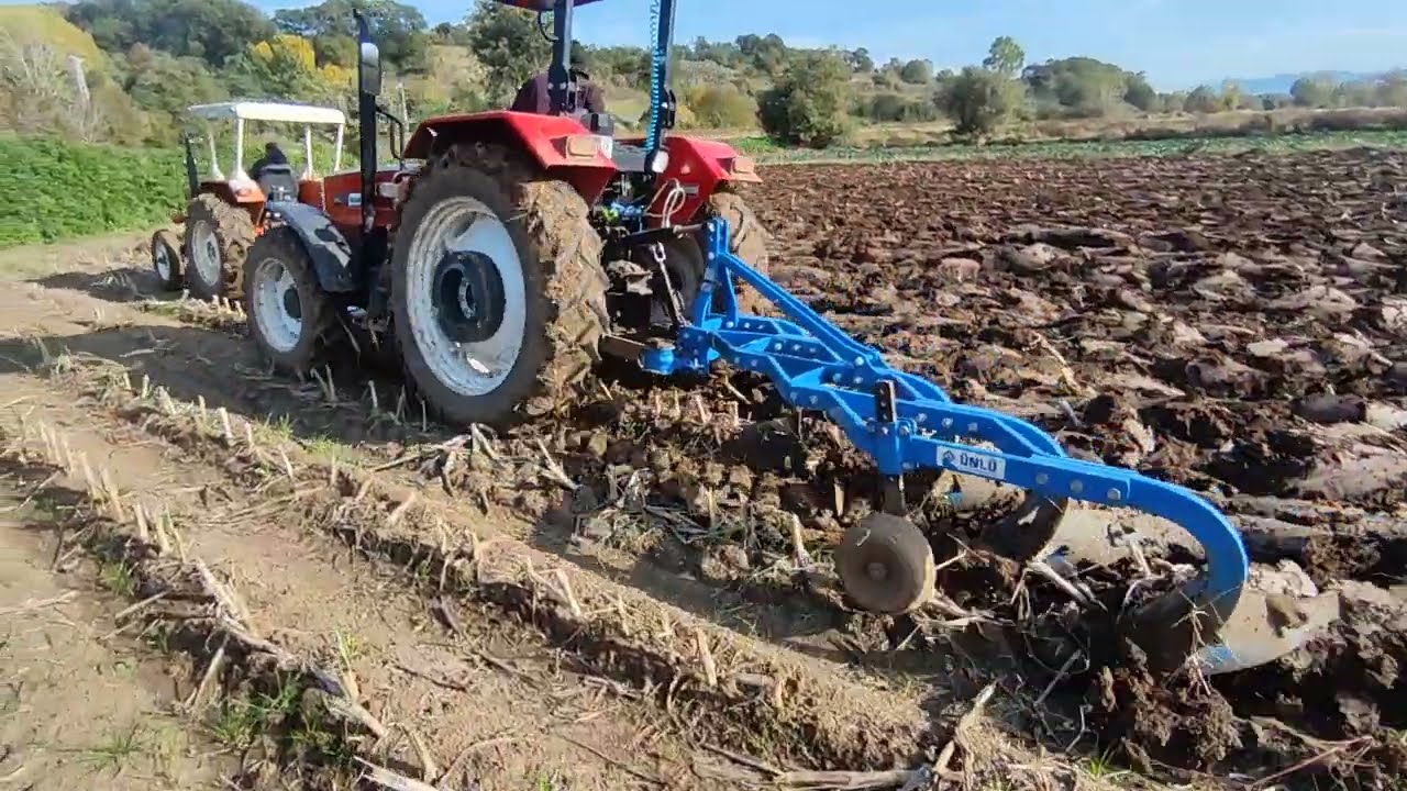 Başak 2075 ve Türkfiat 480 silaj yeri sürümü.. ünlü 4 lu 9 no ve 5li ünlü 9 no pullukla..