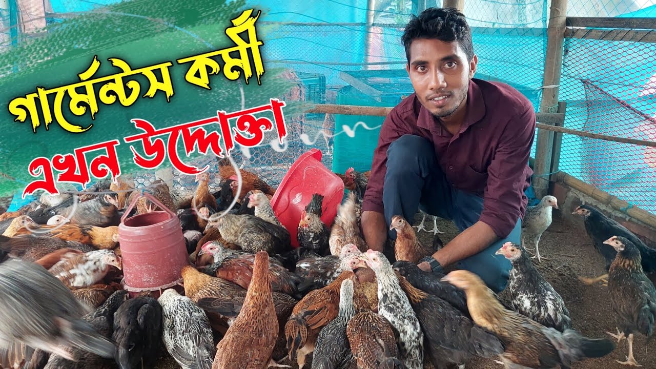 গার্মেন্টস কর্মী থেকে সুমন এখন উদ্দোক্তা || ২০ হাজার টাকা দিয়ে শুরু করেন মুরগী পালন || Youth Agro