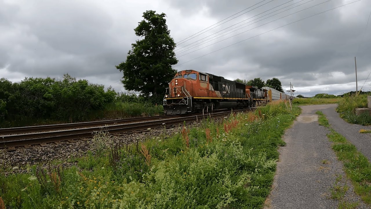 SD70I leader! A bunch of trains around Kingston.