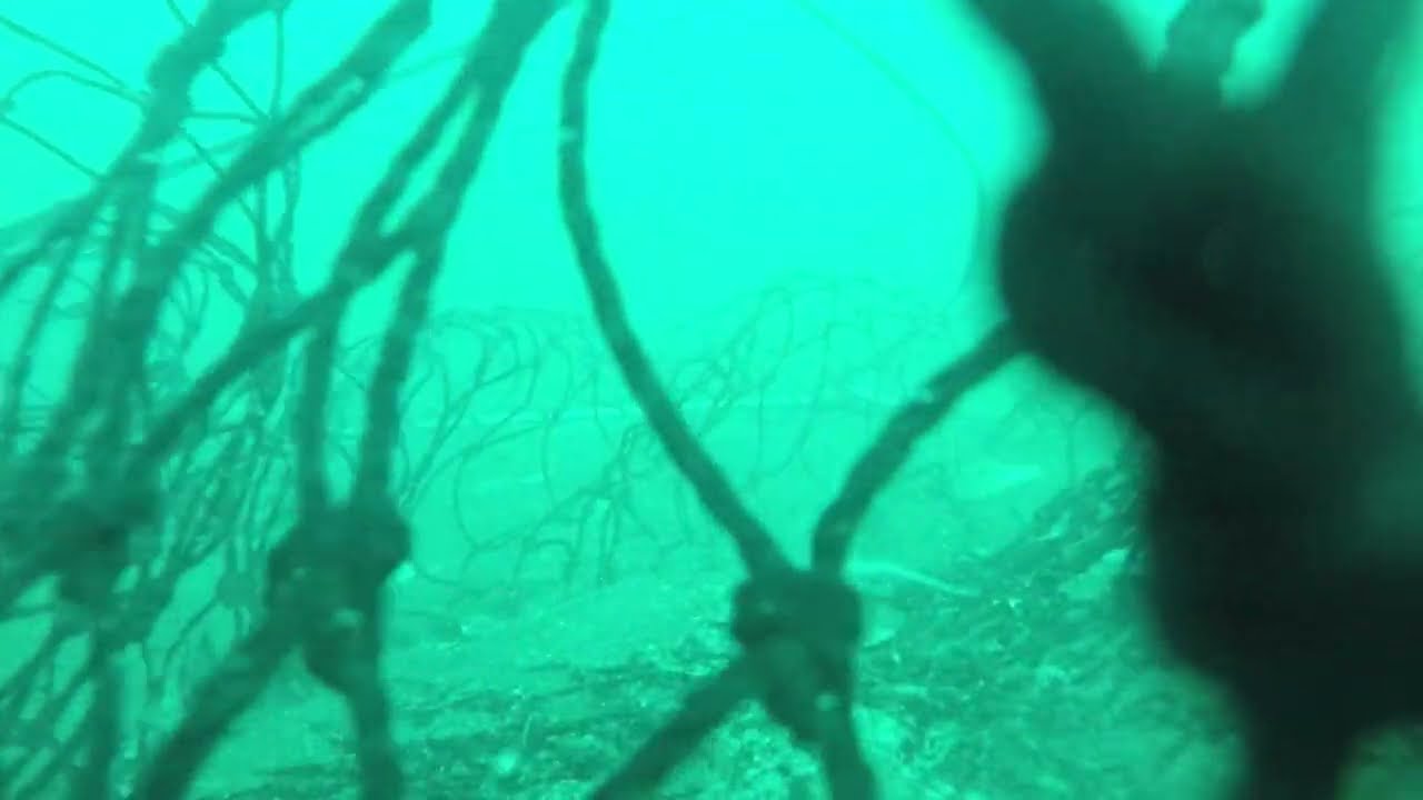 Lobster net with cameras at Balboa Pier