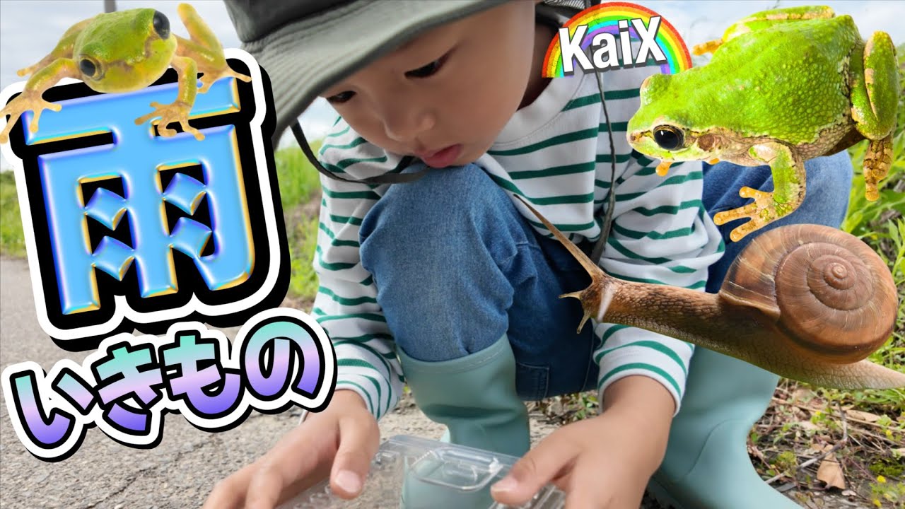 【カエルとカタツムリ♪】雨の日が大好きな生き物たちに会いに行こう！