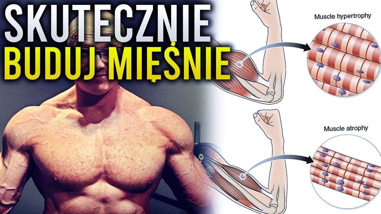 SKUTECZNE BUDOWANIE MIĘŚNI!