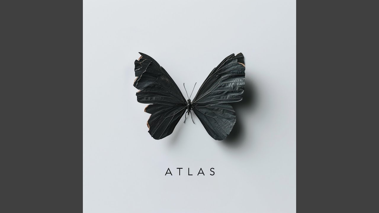 BLACK BUTTERFLIES