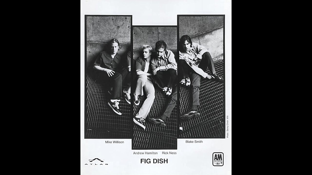 Fig Dish - Spit the Part [Demo]