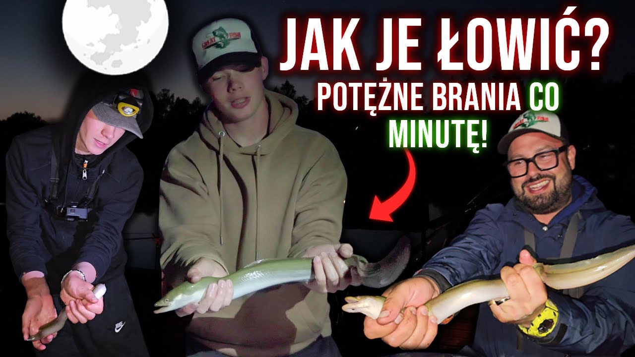 WĘGORZE NIE DAWAŁY NAM ZJEŚĆ! | PIERWSZE WĘGORZE W ŻYCIU WSPÓLNIE Z@Great-Fish  #vlog47