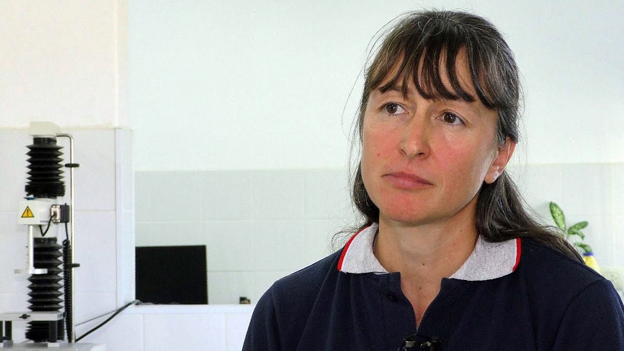 Aceite de nuez pecan, una alternativa de industrialización
