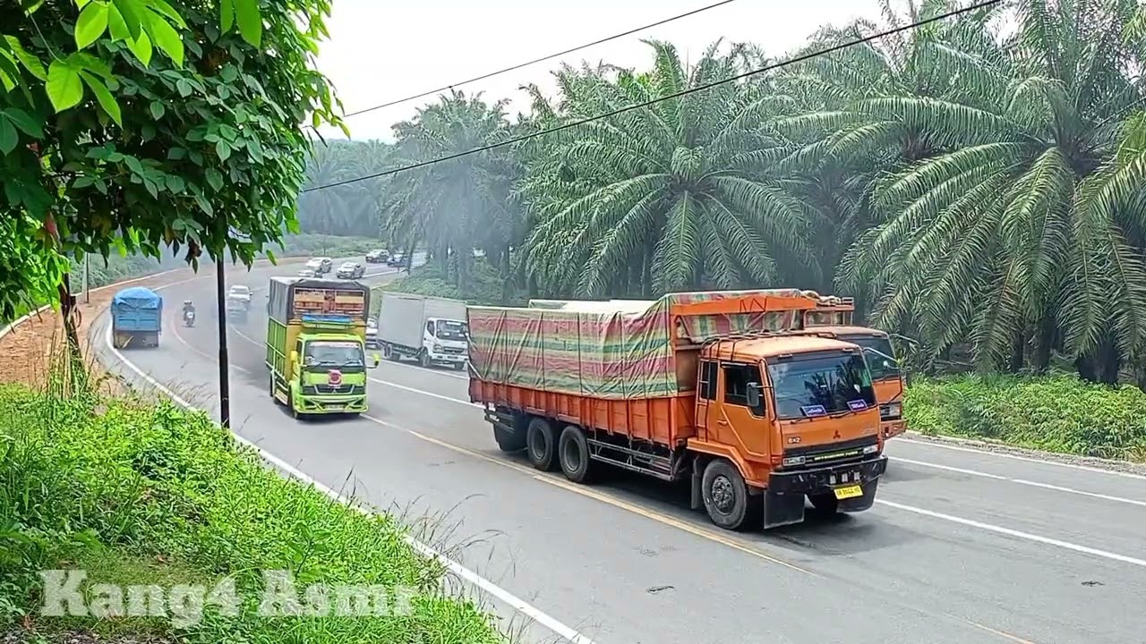 Suddenly, a multitude of trucks started moving simultaneously || ASMR Truck