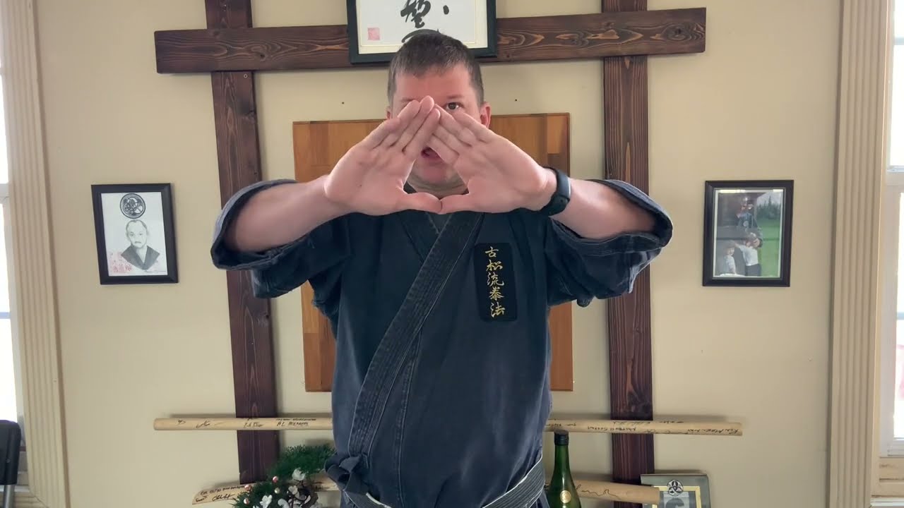 Wednesday Waza - Kosho Ryu Kempo defense against a takedown from Mitose's What is Self Defense.