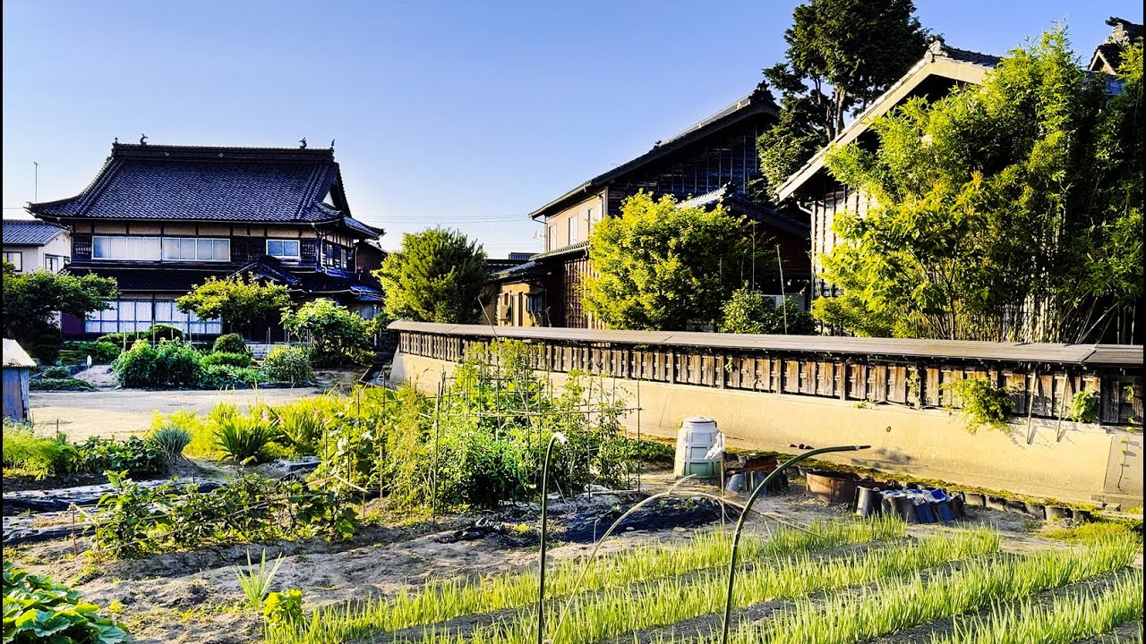 Japanese countryside Nyuzenmachi walk (Toyama) //4K