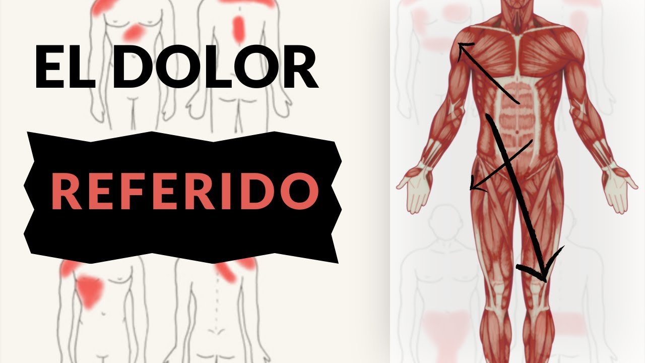 ❗️Las conexiones del DOLOR EN EL CUERPO HUMANO 😫
