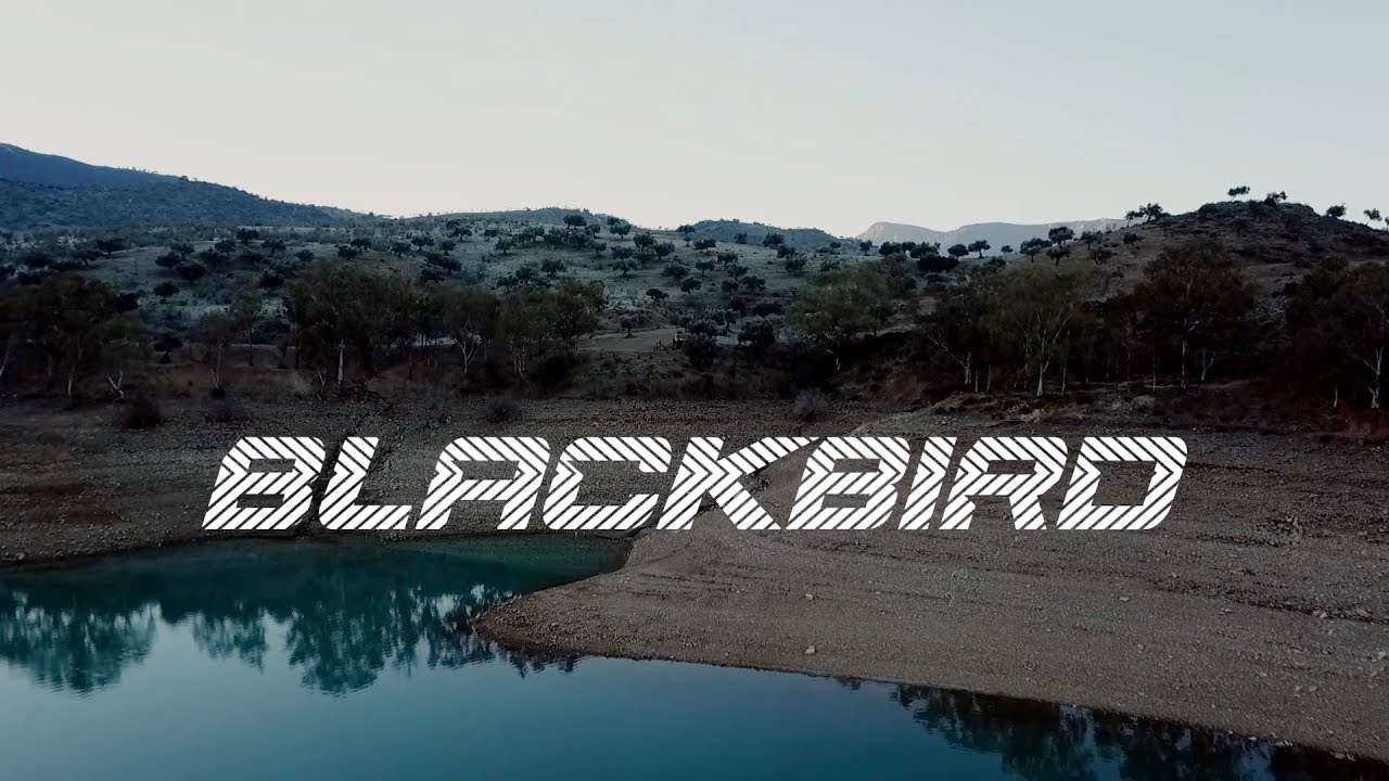 Blackbird - One day in El Chorro