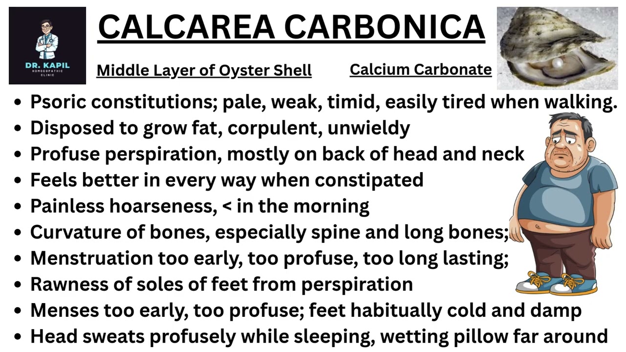 Calcarea Carbonica Homeopathic Medicine Explained In Hindi #homeopathy #homeopathicmedicine