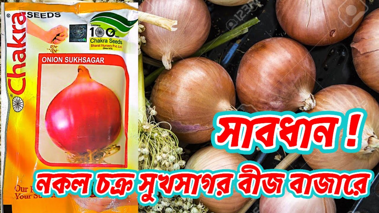 নকল সুখ সাগর পেঁয়াজ বী‌জে সয়লাব বাজার | 