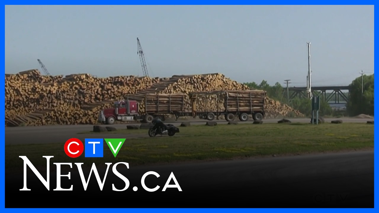 'Save northern jobs': Mattawa seeks support for steel, lumber sectors