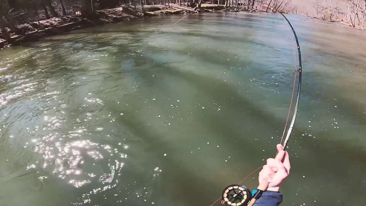Clear Fork OH - Euro-nymphing for rainbow trout