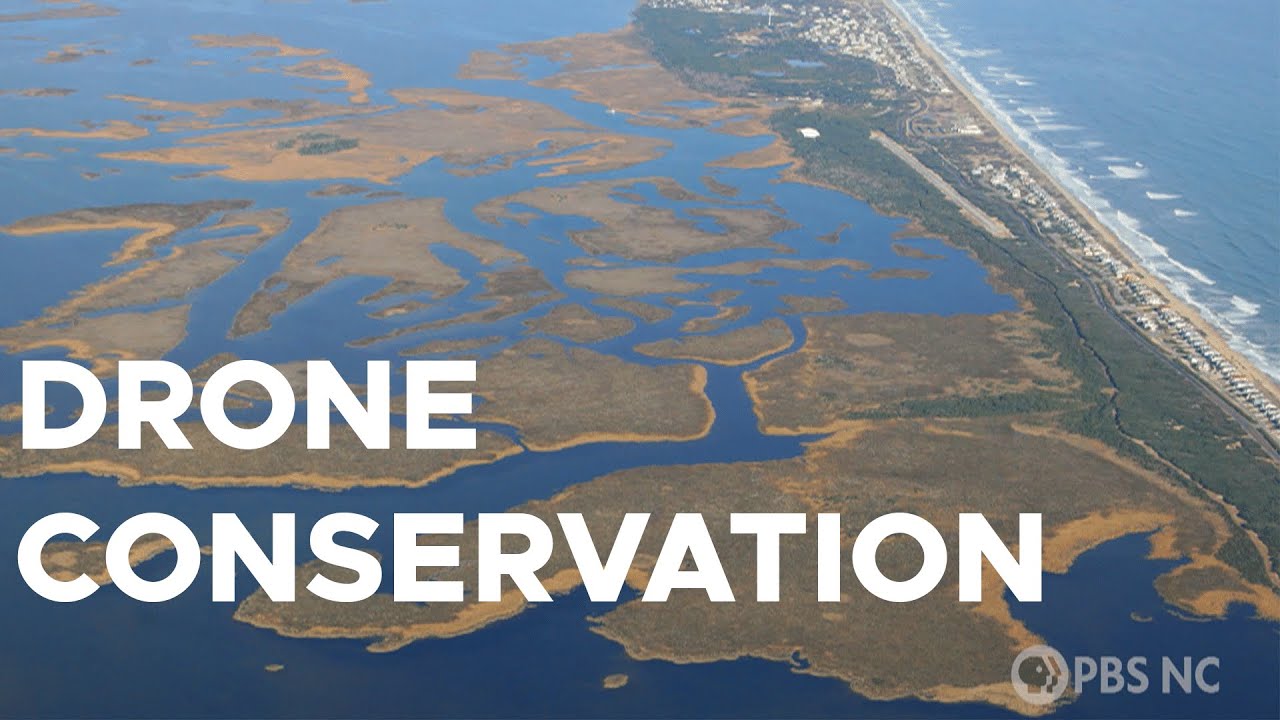 How drones can help conservation | Sci NC