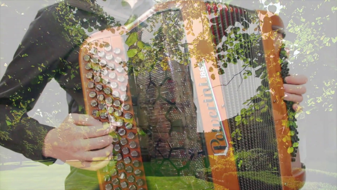 Scarborough fair accordion cover斯卡布罗集市-仲凯手风琴演奏