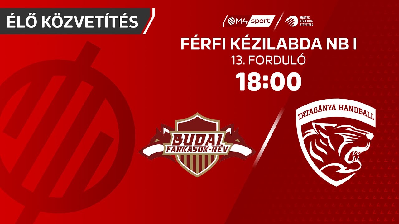 Budai Farkasok-Rév – MOL Tatabánya KC | férfi K&H Liga | 13. forduló