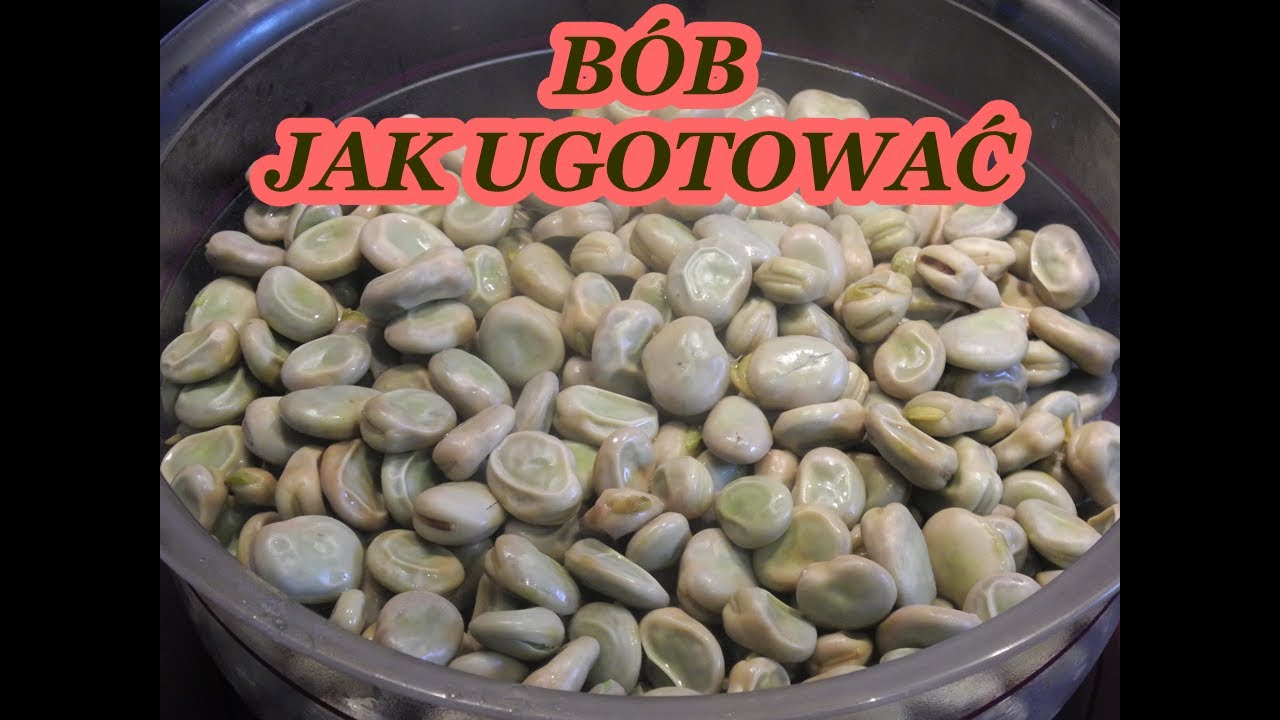 #b&oacute;b JAK UGOTOWAĆ B&Oacute;B IDEALNIE PRZEPIS UGOTOWAĆ ZAWSZE DOBRZE SMAKUJE ZDROWY B&Oacute;B#youtube  🧡💥🧡 nr.256