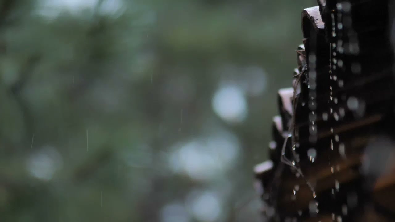 Background Video sinematik hujan | Rain | Pemandangan indah
