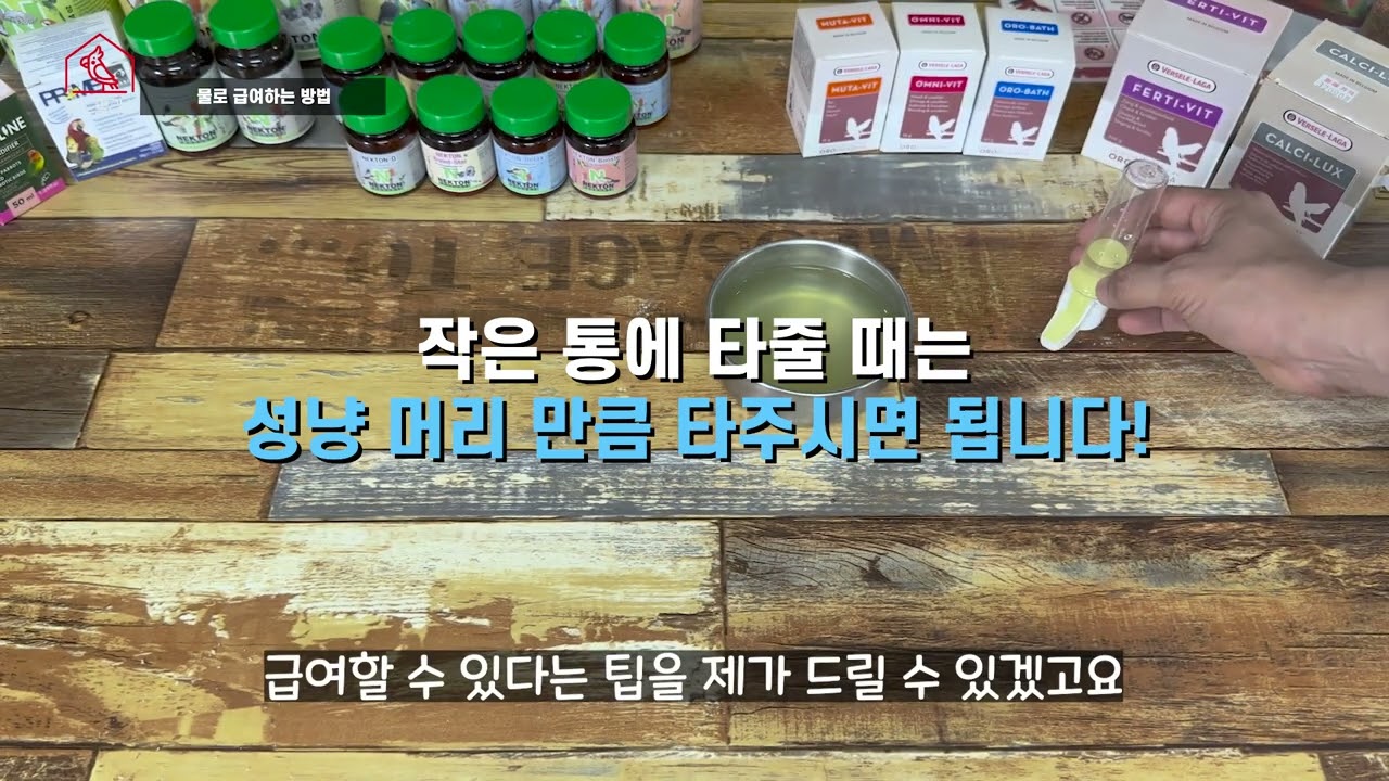 앵무새 영양제ㅣ급여하는 기본적인 방법과 앵무새 영양제를 효과적으로 급여하는 팁! 꼭 보세요!