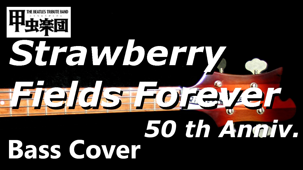 Strawberry Fields Forever  (The Beatles - Bass Cover) 50th Anniversary