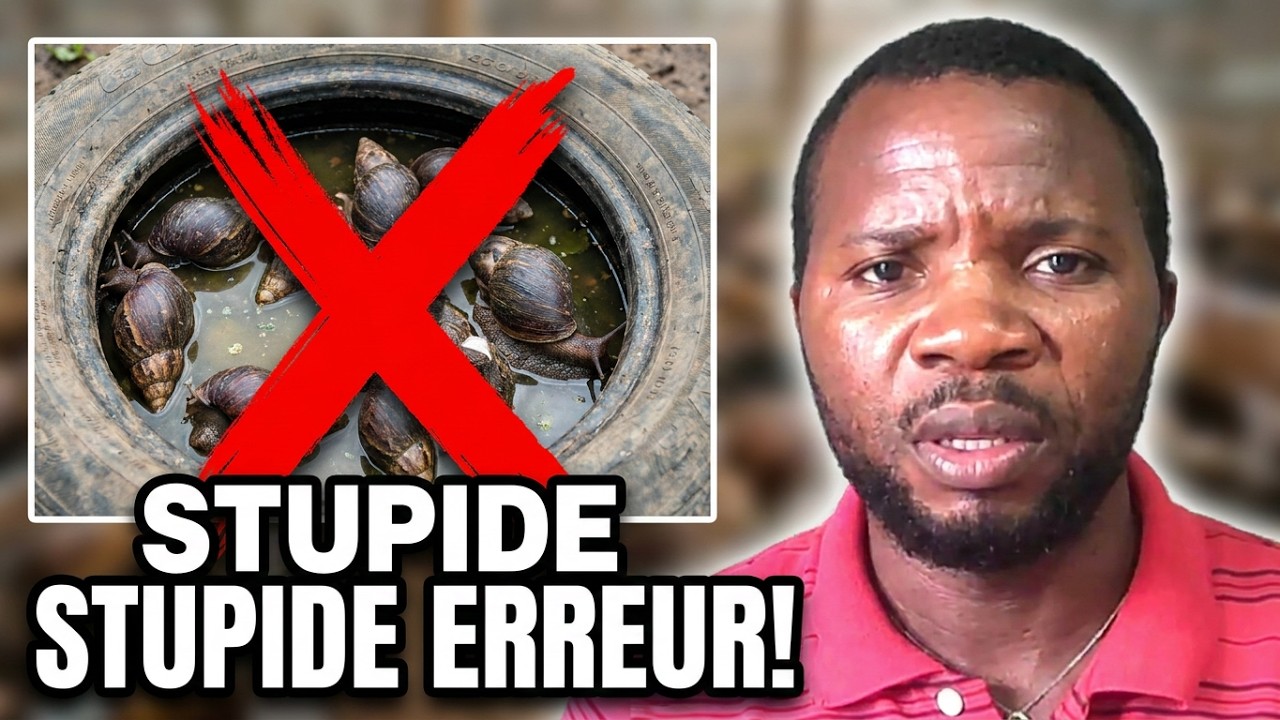 QUELQUES REALITES SUR L'ELEVAGE DES ESCARGOTS  by Motivspeaker