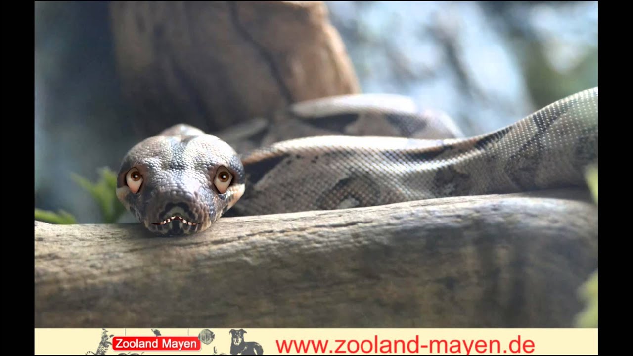 Gruß zum 3 Advent (Zooland Mayen)