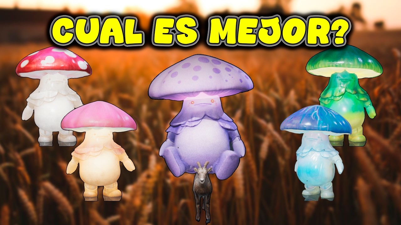 Cresetas, para que sirven y cual es mejor