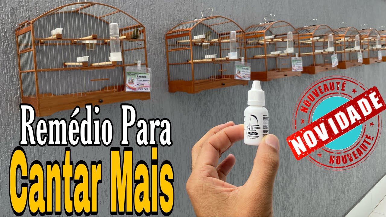 REMÉDIO PARA PÁSSAROS CANTAR MAIS ABRIR O CANTO COLEIRO PAPA-CAPIM