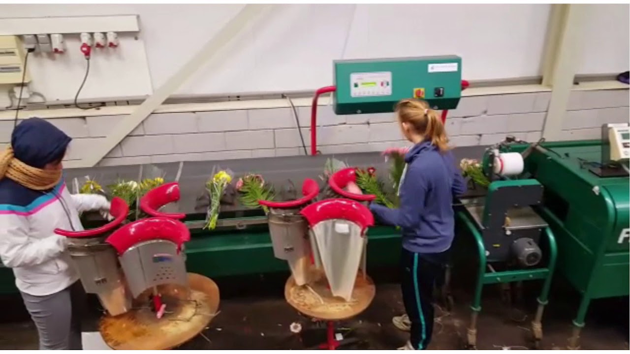 DS Hortitrade -  Flower bouquet bunching machine Olimex Floraflex