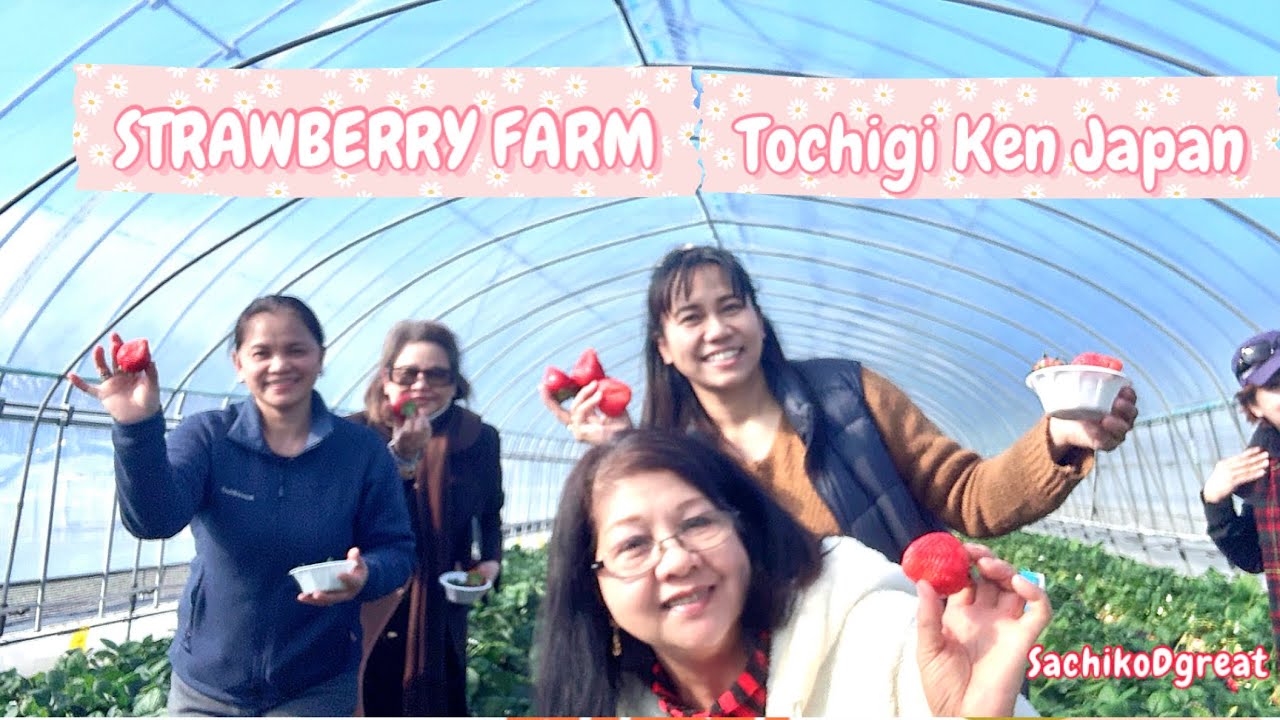 STRAWBERRY FARM “Tochigi Ken Japan