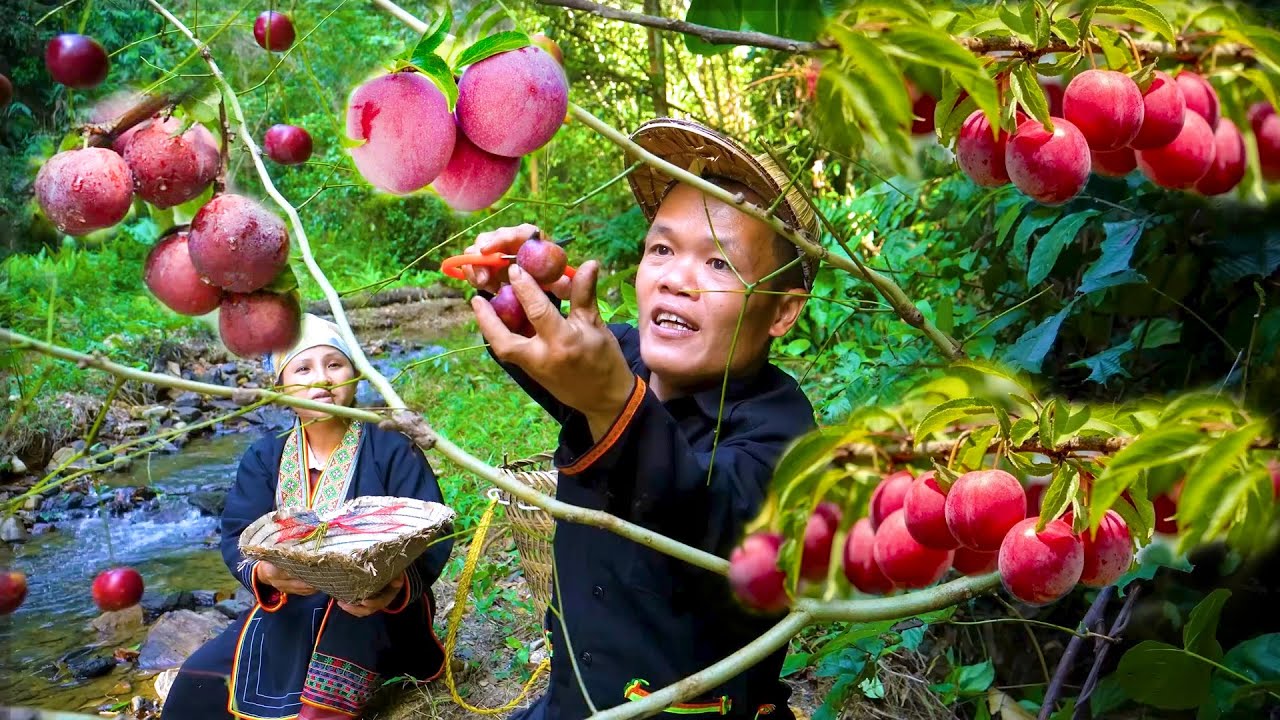 Fruit and Mushroom Harvest with Dwarf Family - Selling Fresh Food at The Village Market