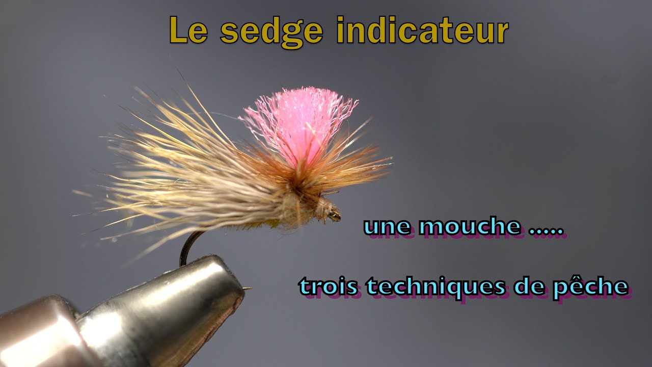 #pêchealamouche ,une mouche et trois techniques de pêche , sedge indicateur.