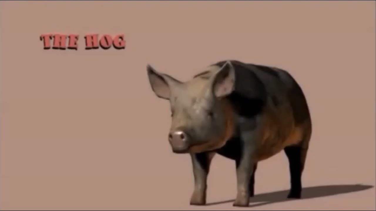 Moon Raven Tales • The Hog