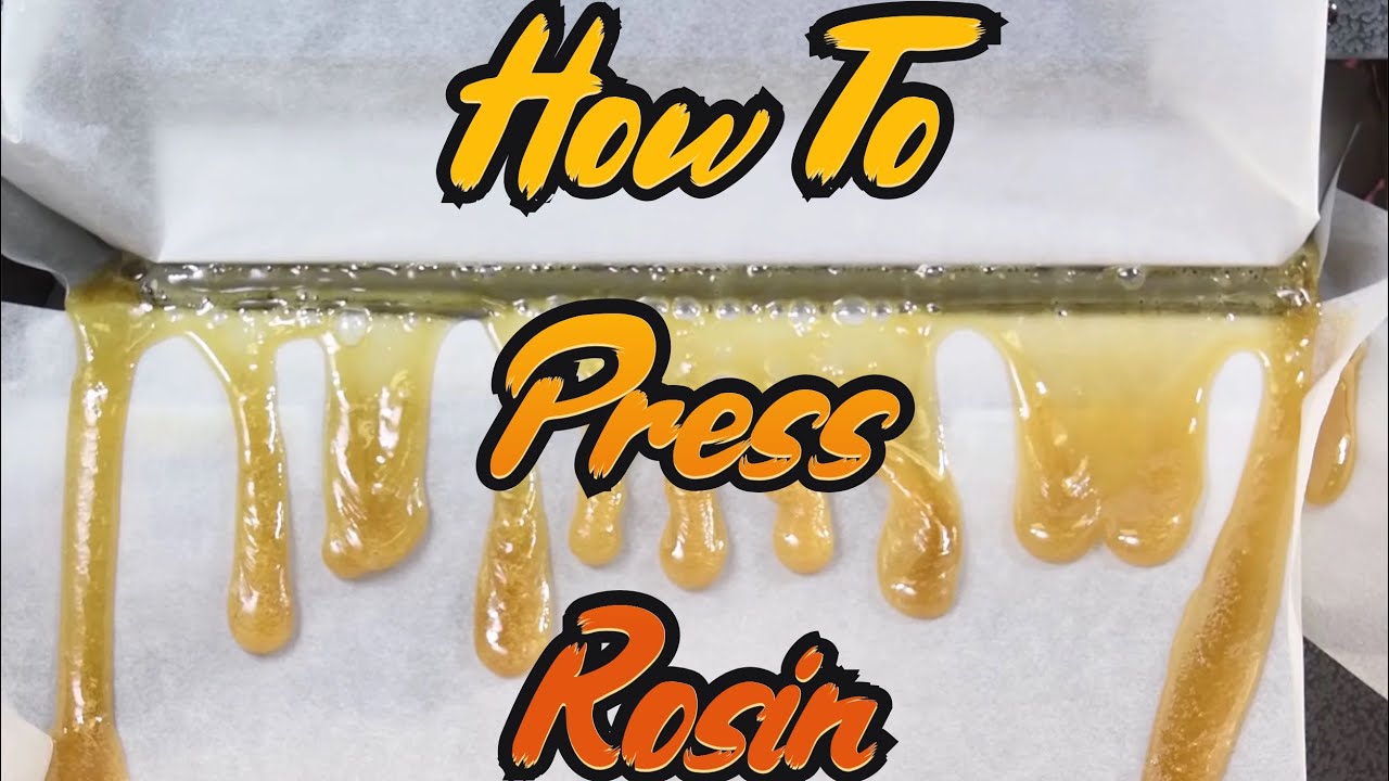 HOW TO PRESS ROSIN (Rosin Press Tutorial)