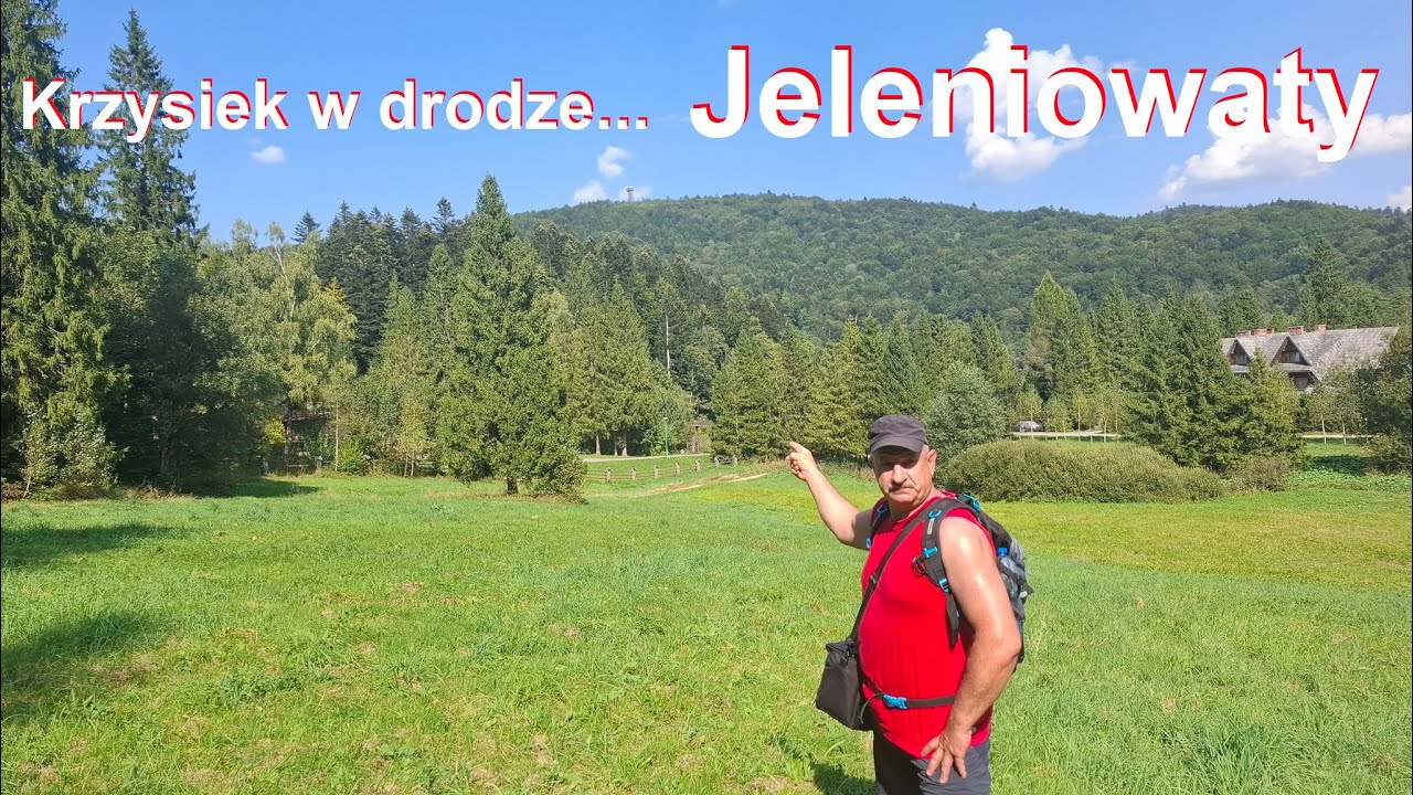 Bieszczadzkie pogranicze... Jeleniowaty