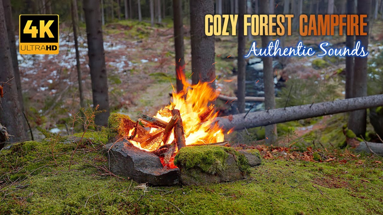 4K 📺 Уютный лесной костер и естественная релаксация 🌲 Успокаивающие звуки