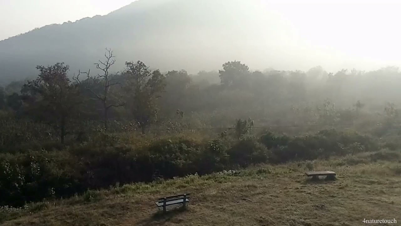 Evening view from Forest Guest House.......