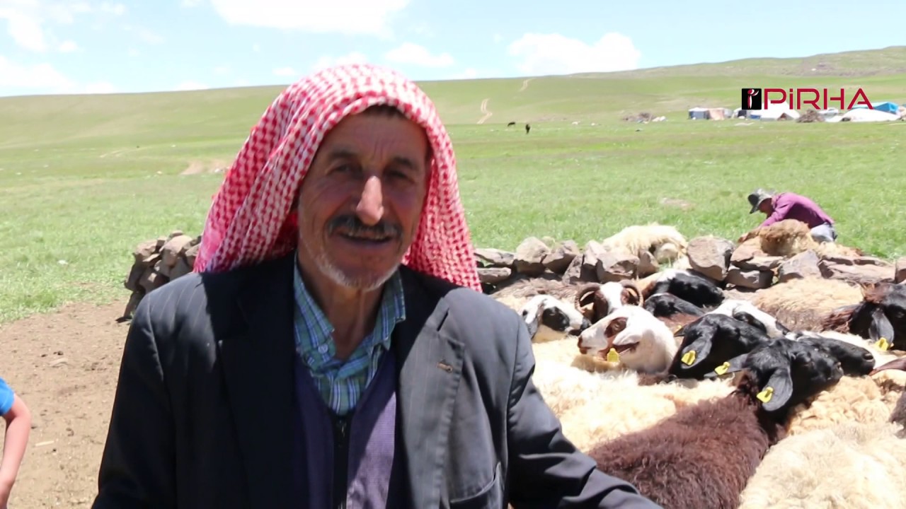 Bingol yaylalarinda yasayan Kocerler, bir gunlerini PIRHA'ya anlattilar