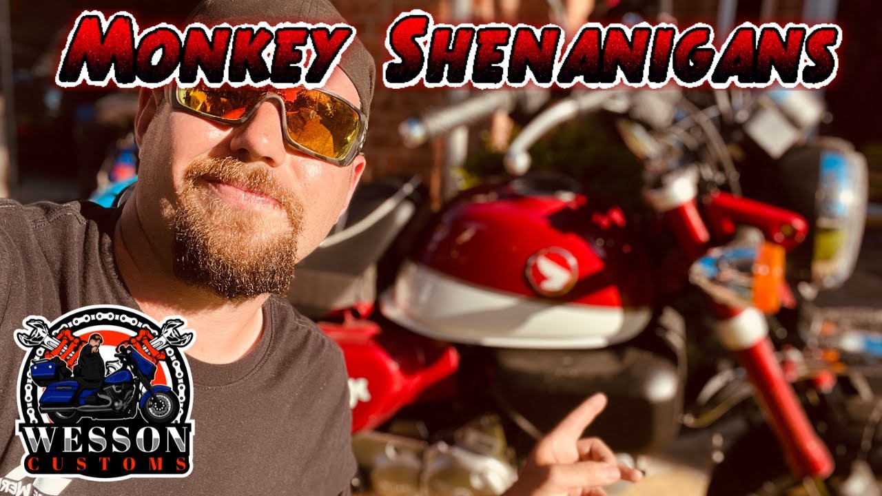 First Time on a Monkey - This minibike was a blast #hondamonkey #honda #125