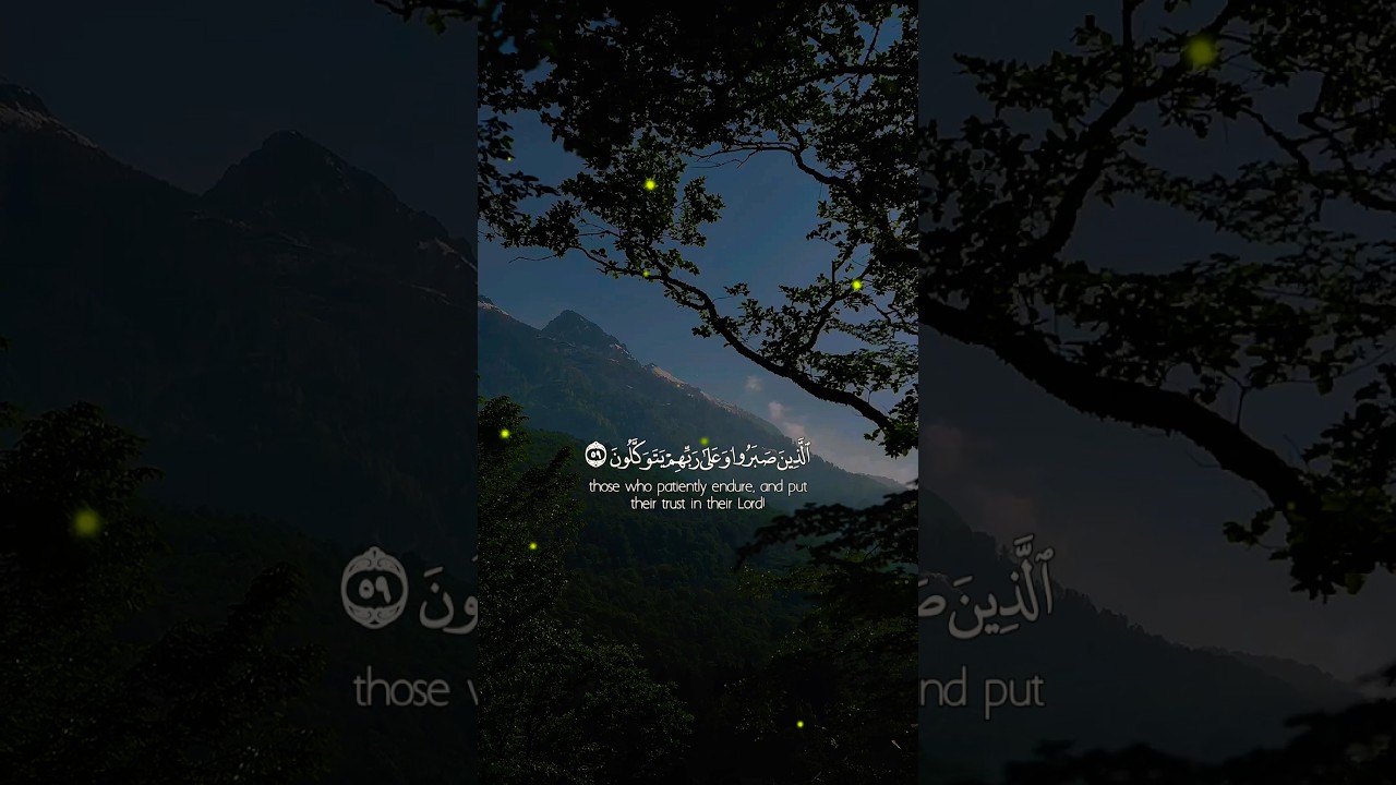 🍃Reliance on Allah Understanding Trials and Patience🕊️|Surah Al-'Ankabut  Key Verses 59-60