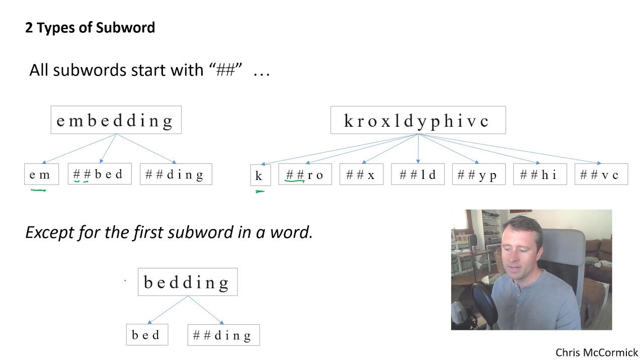 BERT Research - Ep. 2 - WordPiece Embeddings
