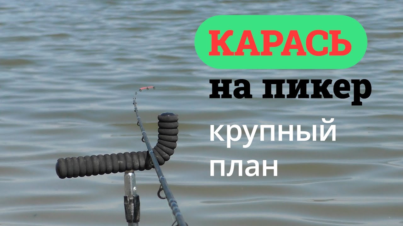 Майский карась на пикер. Поклевки карася крупным планом. Рыбалка в Омске #OmskFish