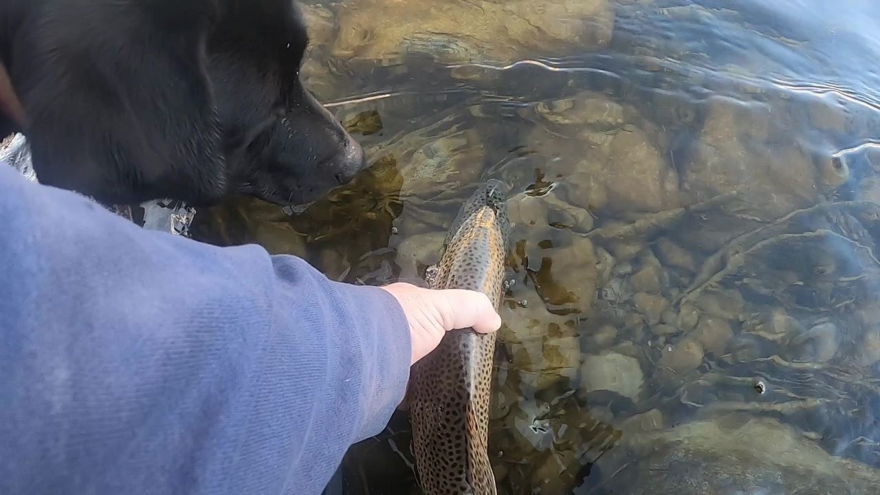 Fish On!! First Fish of 2026
