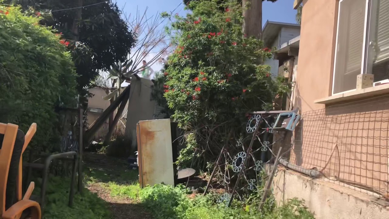 לכידת נחש צפע מתוך גג