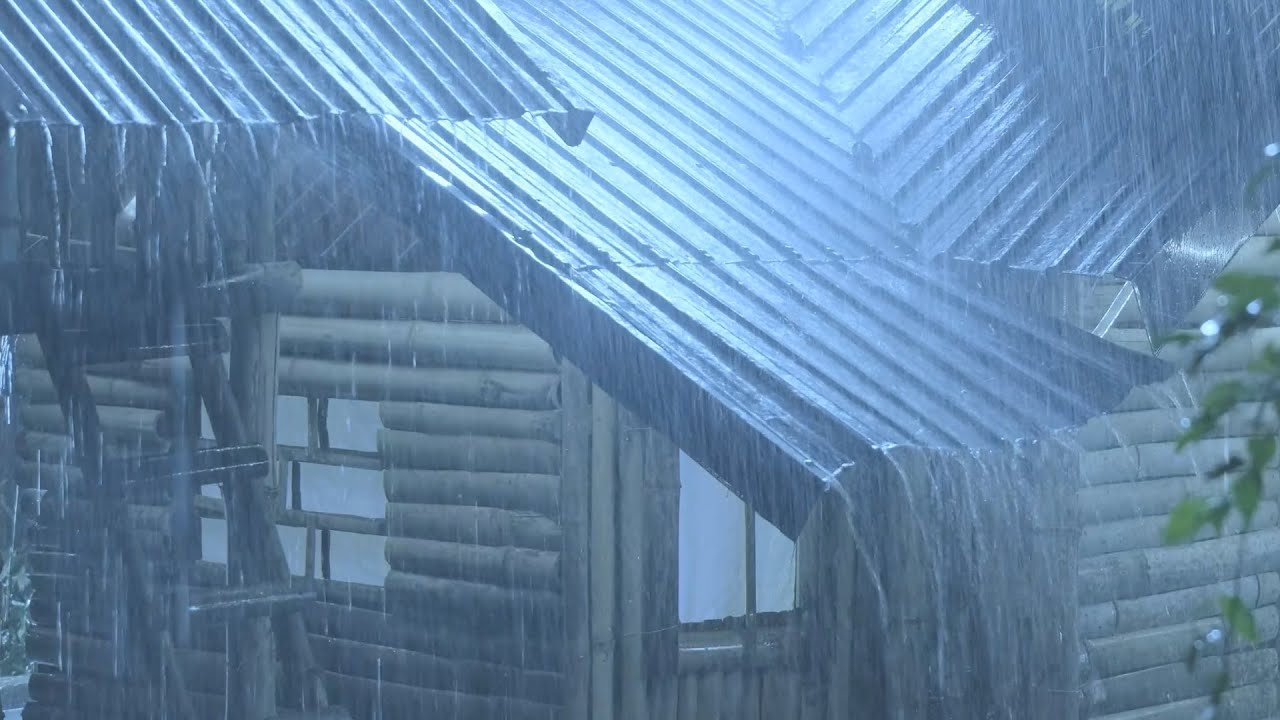 Deep Sleep Sounds 🌧️ Heavy Rain & Distant Thunder on an Old Tin Roof in Forest Night