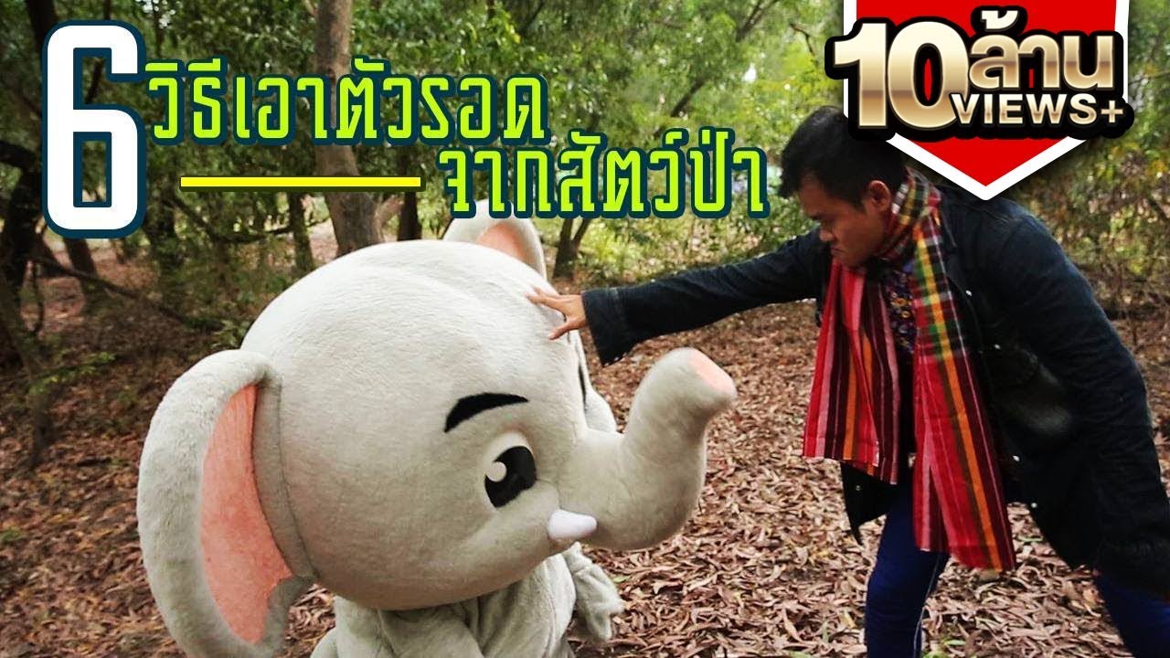 6 วิธีเอาตัวรอดจากสัตว์ป่า